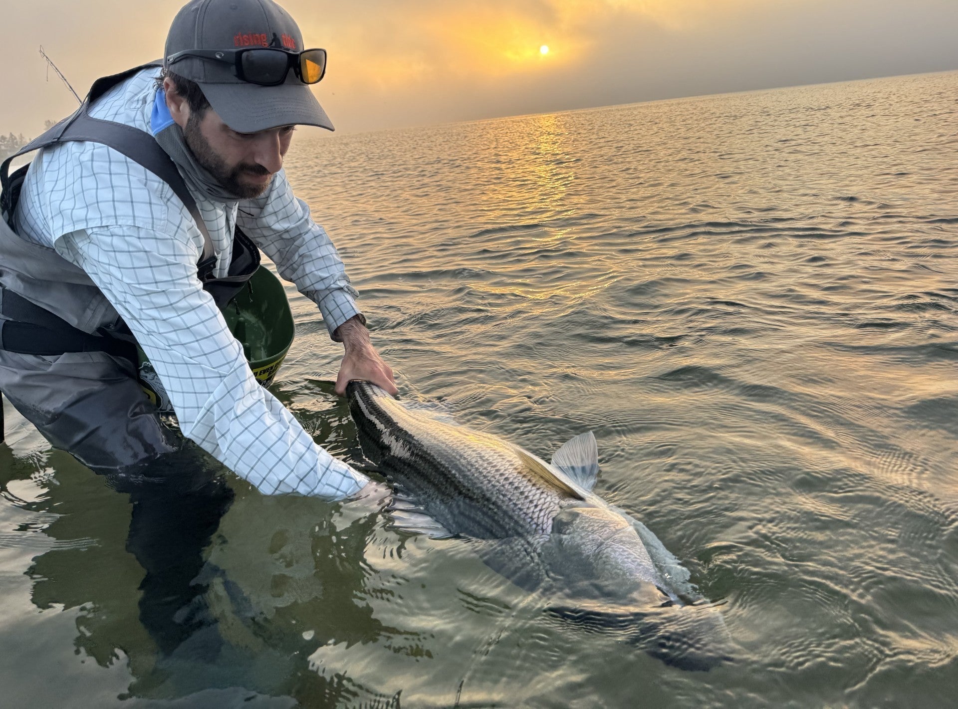 best freshwater mono fishing line Best Fishing Line for Freshwater: Mono vs. Fluorocarbon vs. Braid