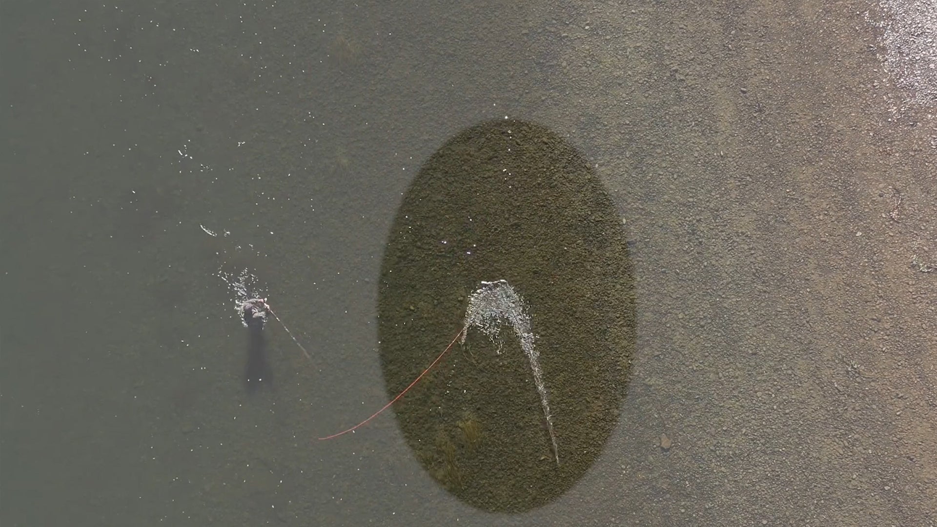 How To Make A Switch Cast