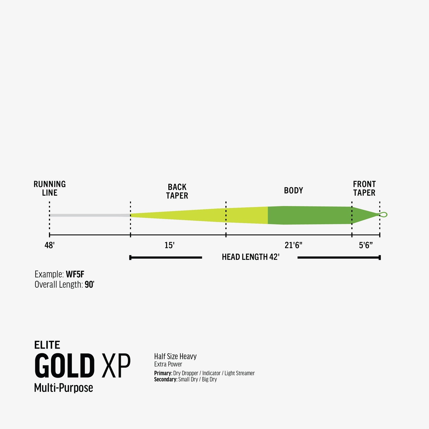 Elite Gold XP