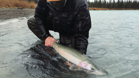 Alaska Steelhead Camp