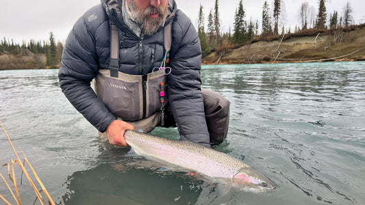 Alaska Steelhead Camp