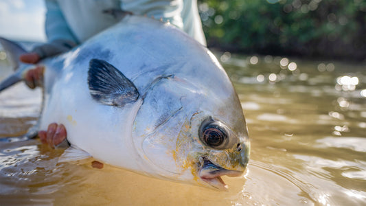 Blue Bonefish Lodge