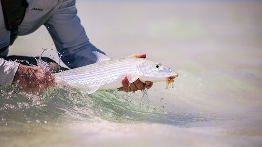 Christmas Island Outfitters