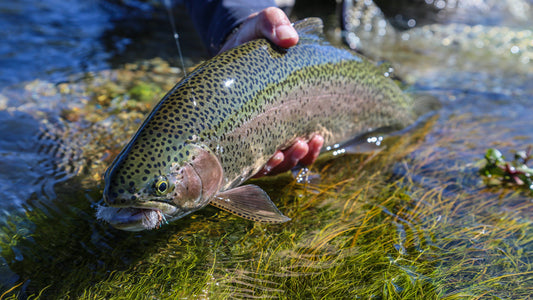 Healing Waters Lodge