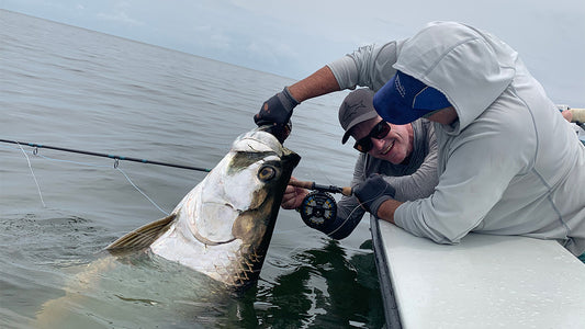 Port Gentil Tarpon Experience