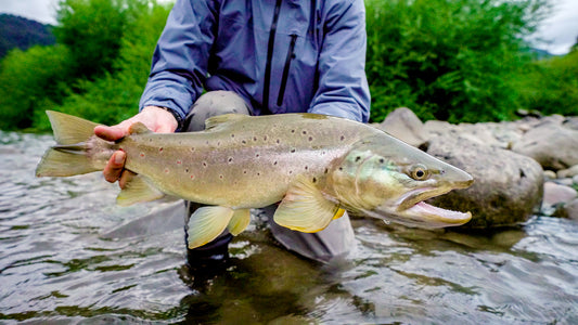 Rio Palena Lodge