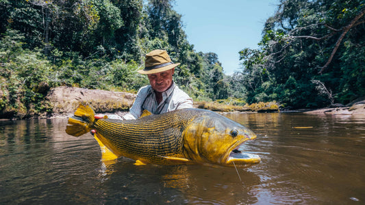Tsimane - Secure Lodge