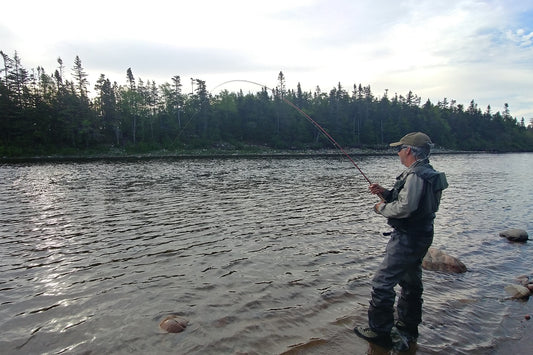 David Hartlin Guiding