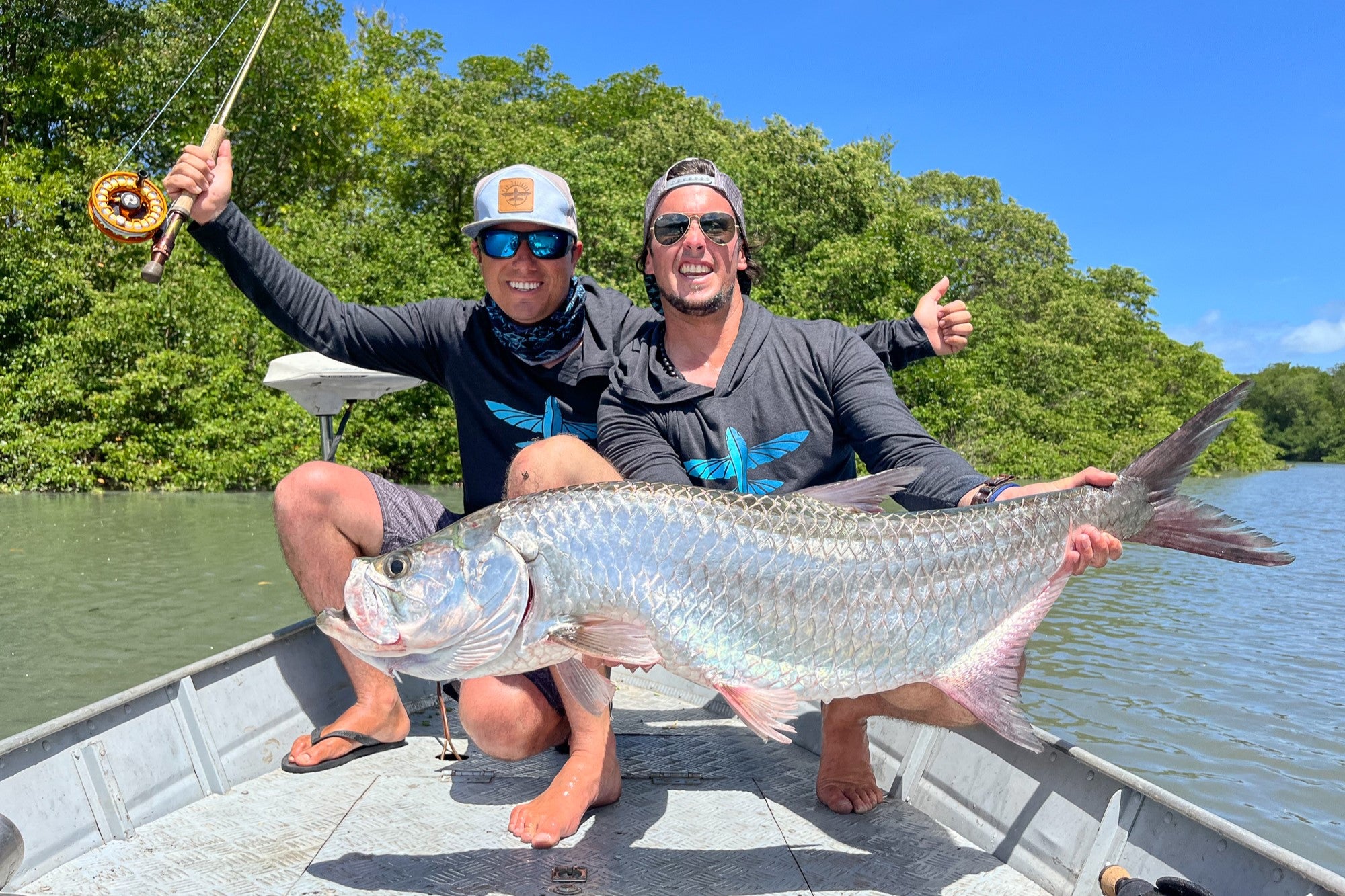 Silver King Brazil