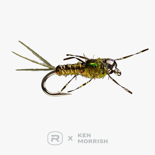 RIO's Morrish Anato-May TB