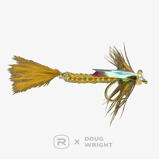 RIO's Wright Damsel Ginger