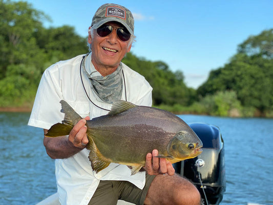 Dorados on the Fly