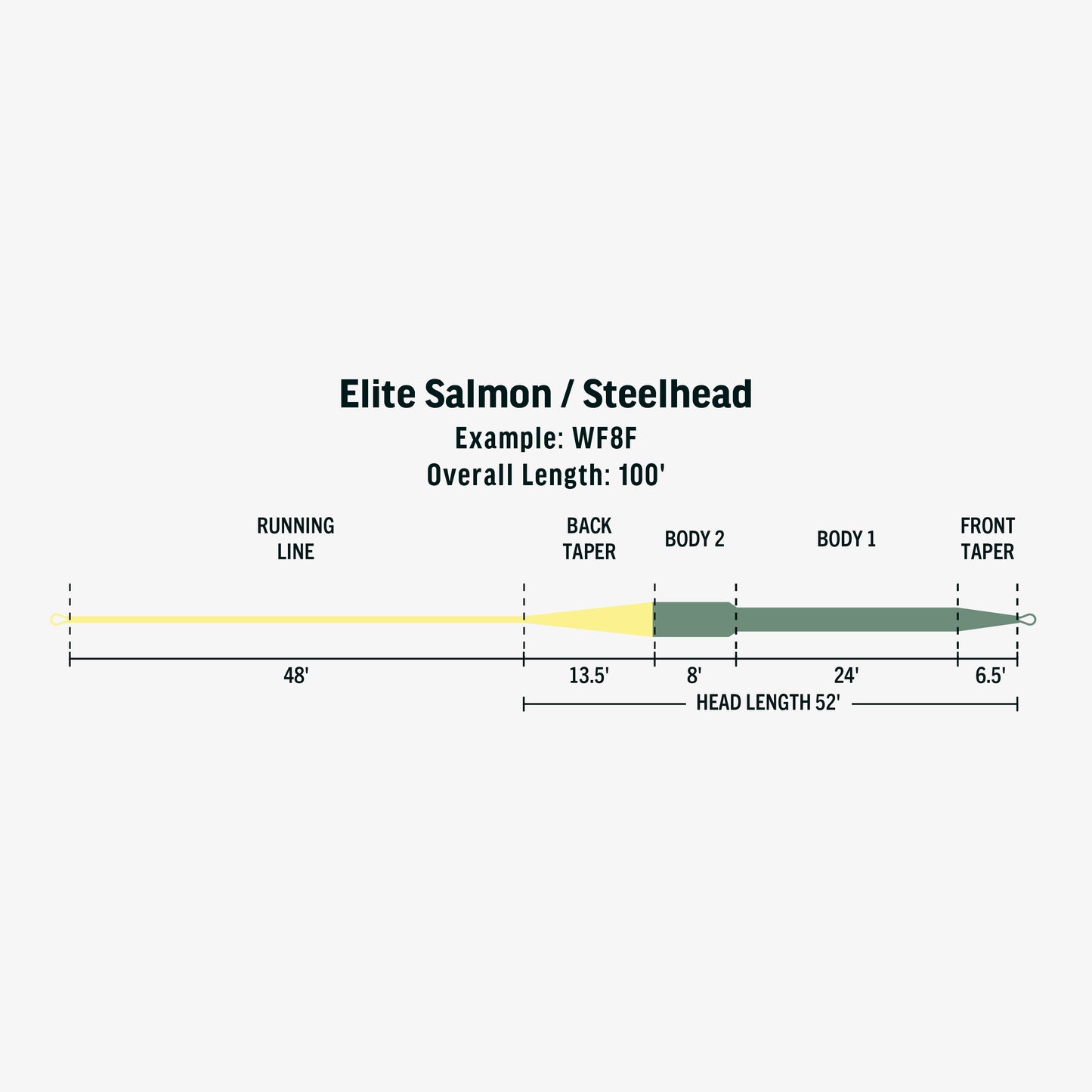 Elite Salmon/Steelhead