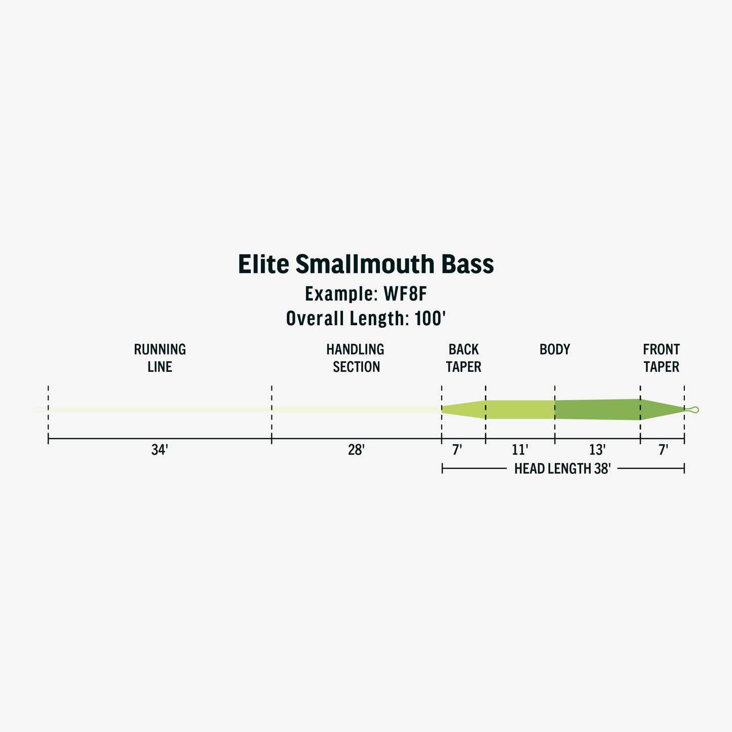 Elite Smallmouth Bass