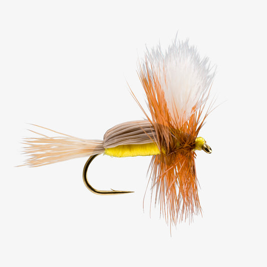 RoyalHumpy Yellow