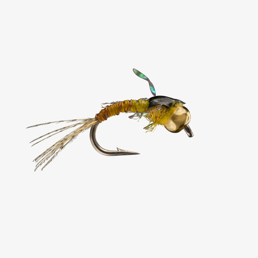 TailwaterTiny Gold
