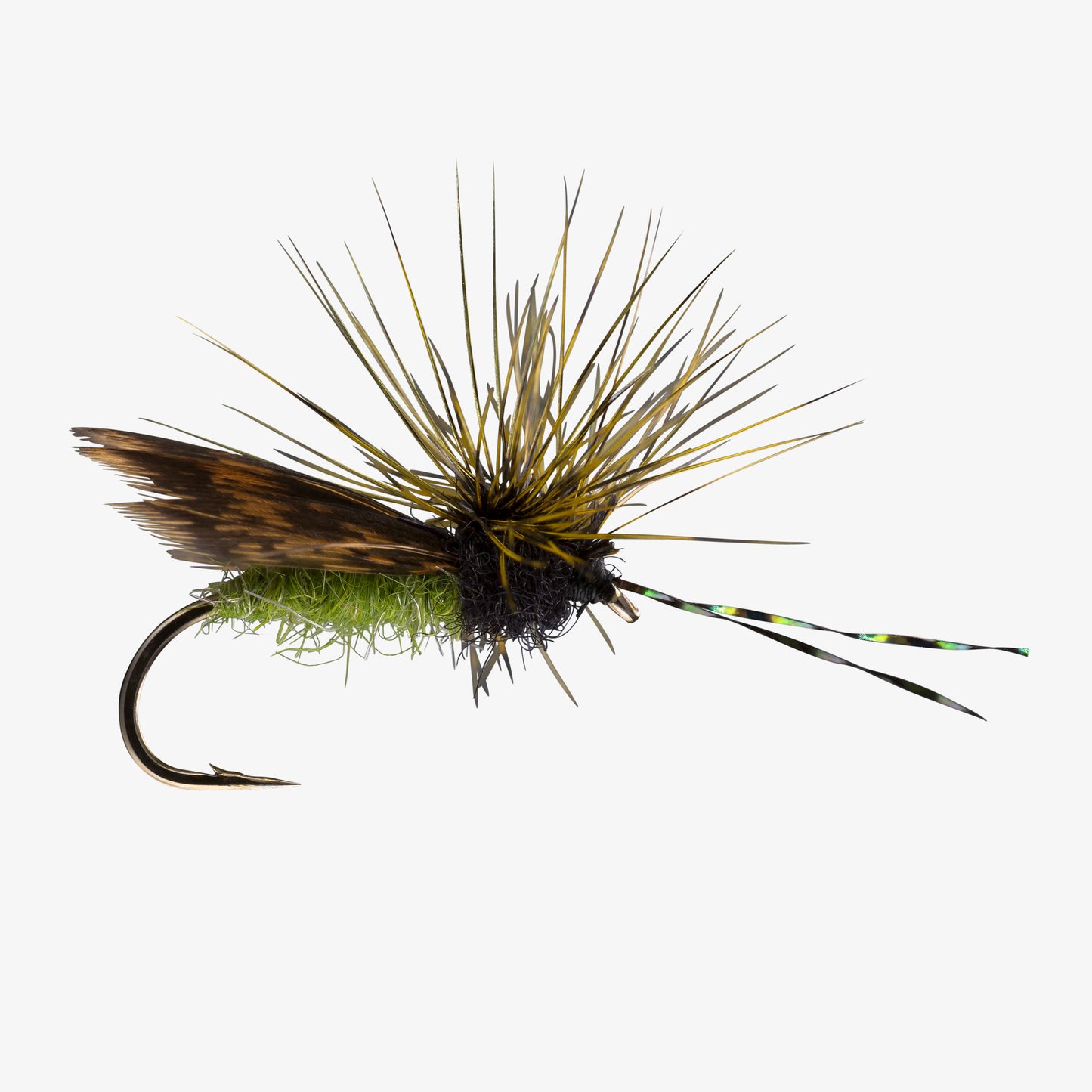 HenWingCaddis Olive