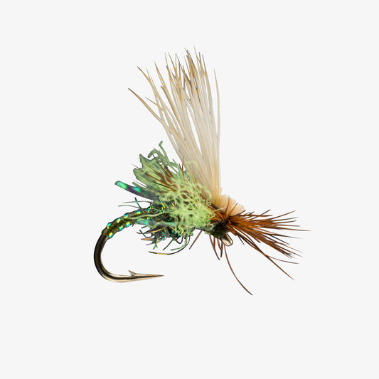 RIO's BodyDoubleCaddis Olive