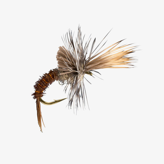 Challenged Callibaetis