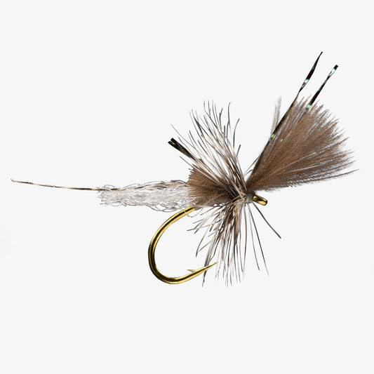 Extendo Callibaetis