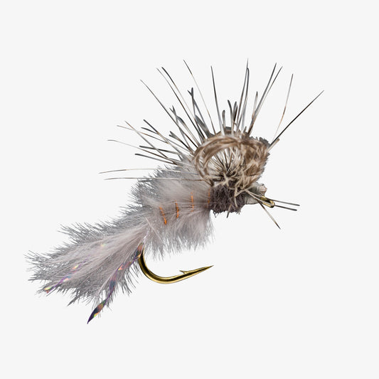 Loopy Callibaetis