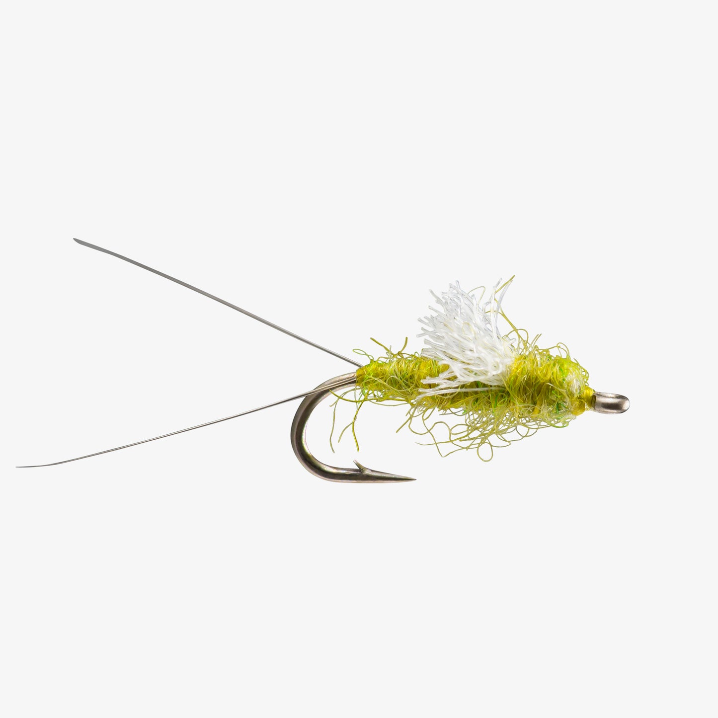 RS Olive
