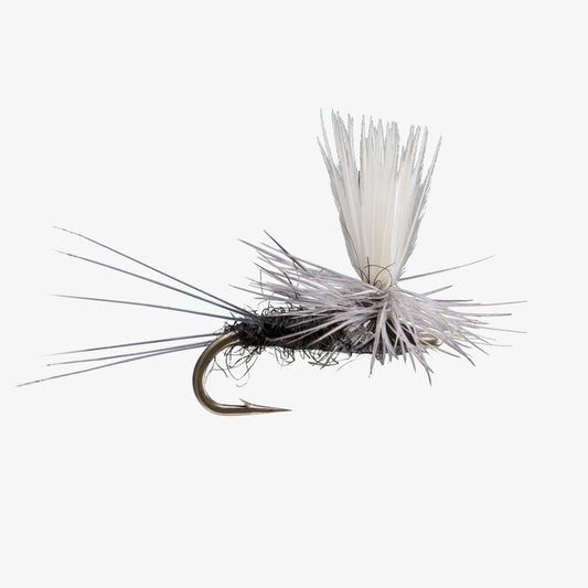 Parachute Black