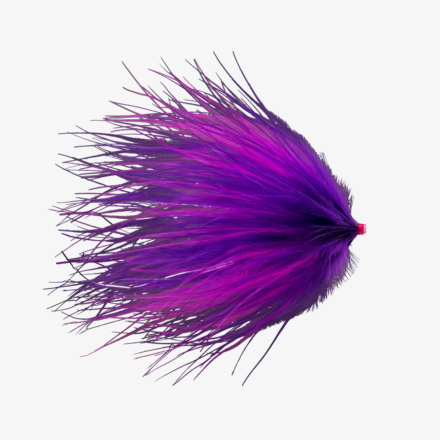 MarabouTube Purple