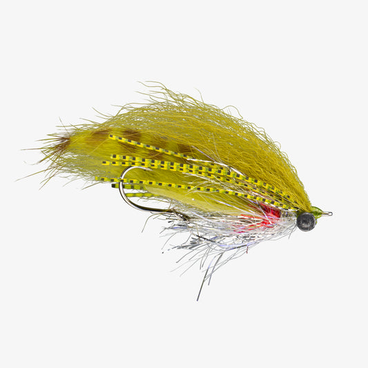 RIO's Extrovert Olive