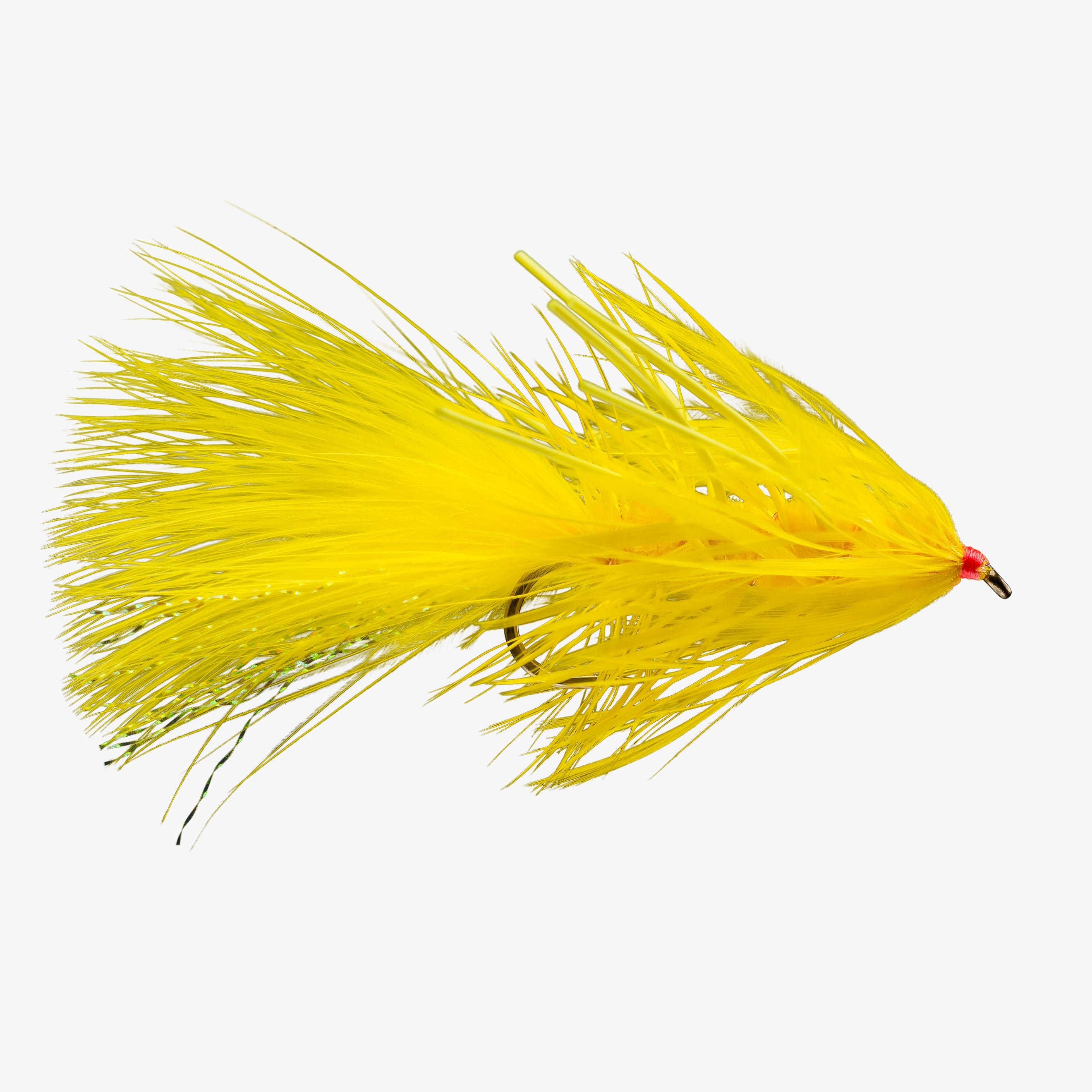 Fly Fishing Rod And Reel With A Yellow Popping Bug Stock Photo, Picture and  Royalty Free Image. Image 5787835.