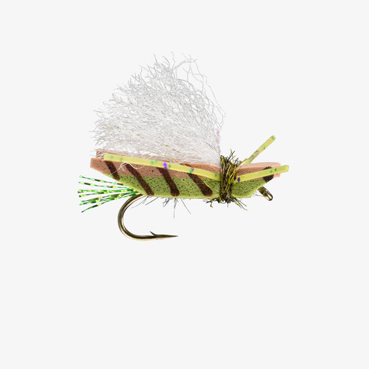 RIO's BladeRunnerHopper Olive