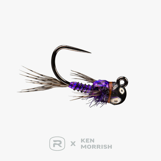 RIO's Morrish Sparkle Donkey TB