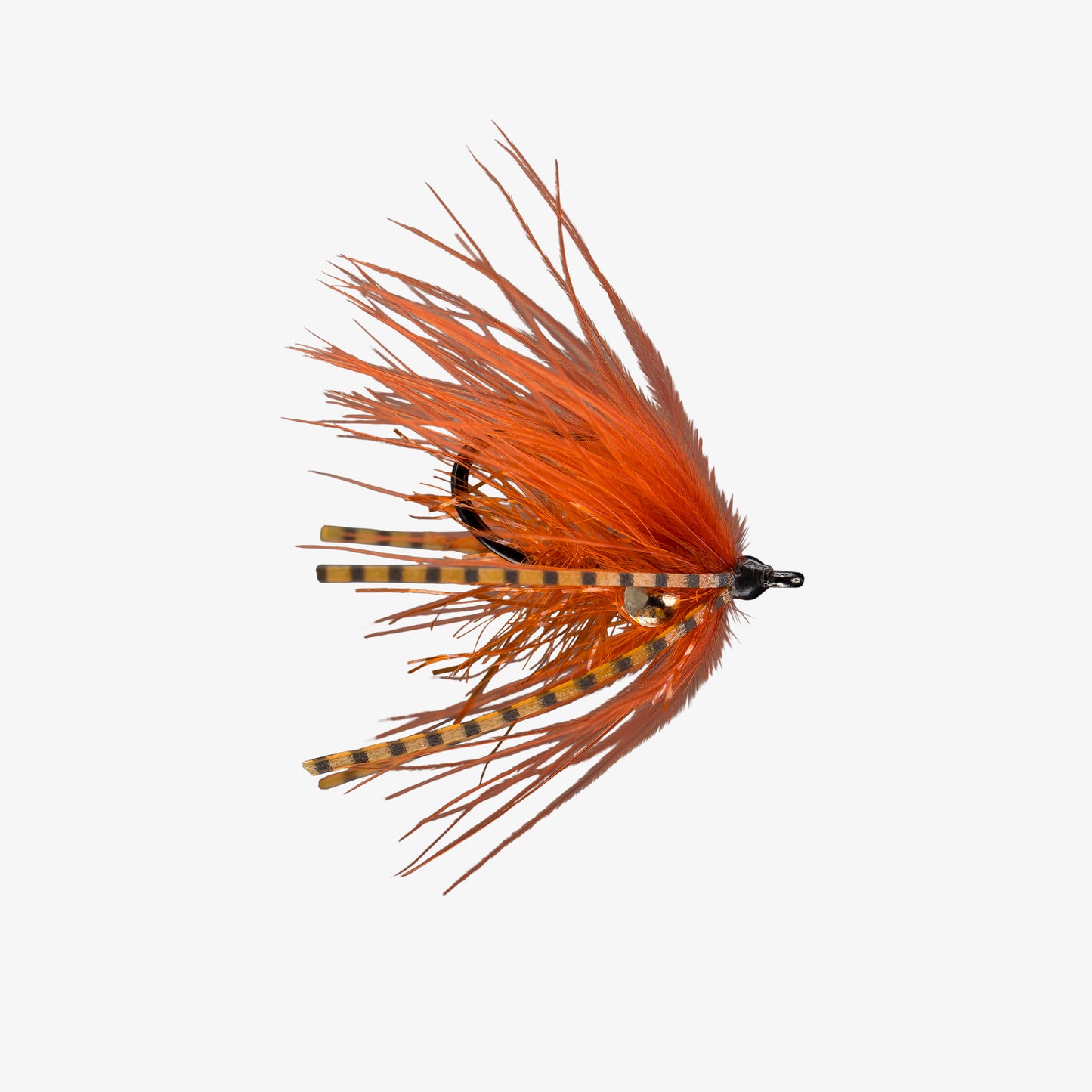RIO's Carpdashian Rusty
