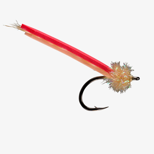 RIO's Palolo Worm