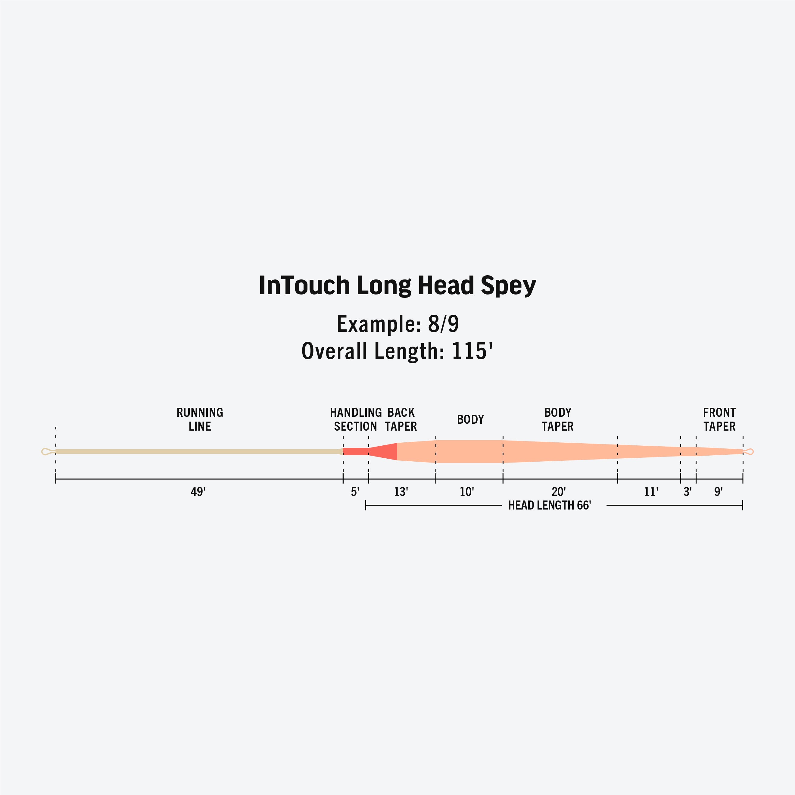 InTouch Long Head Spey
