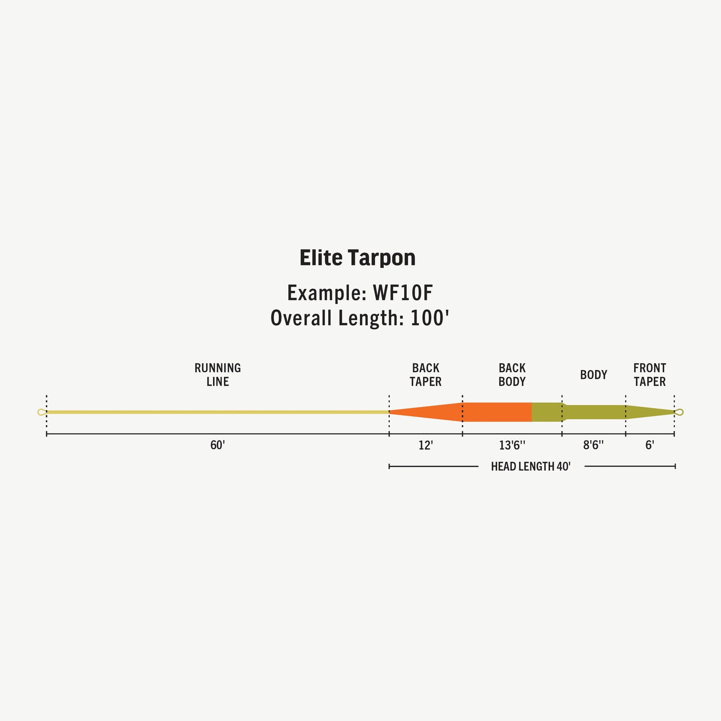 Elite Tarpon