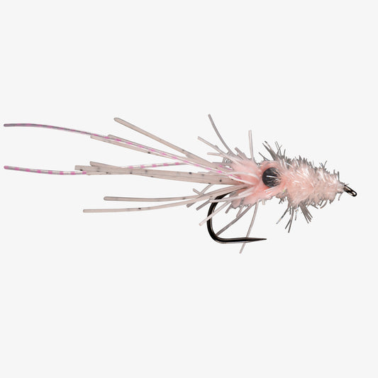 RIO's Diary of a Shrimpy Squid