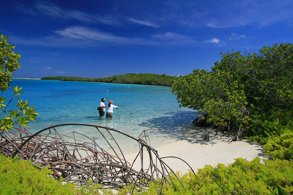 Outstanding flyfishing for Bonefish, Tarpon and mixed saltwater species on  the archipelago of Los Roques, Holidays