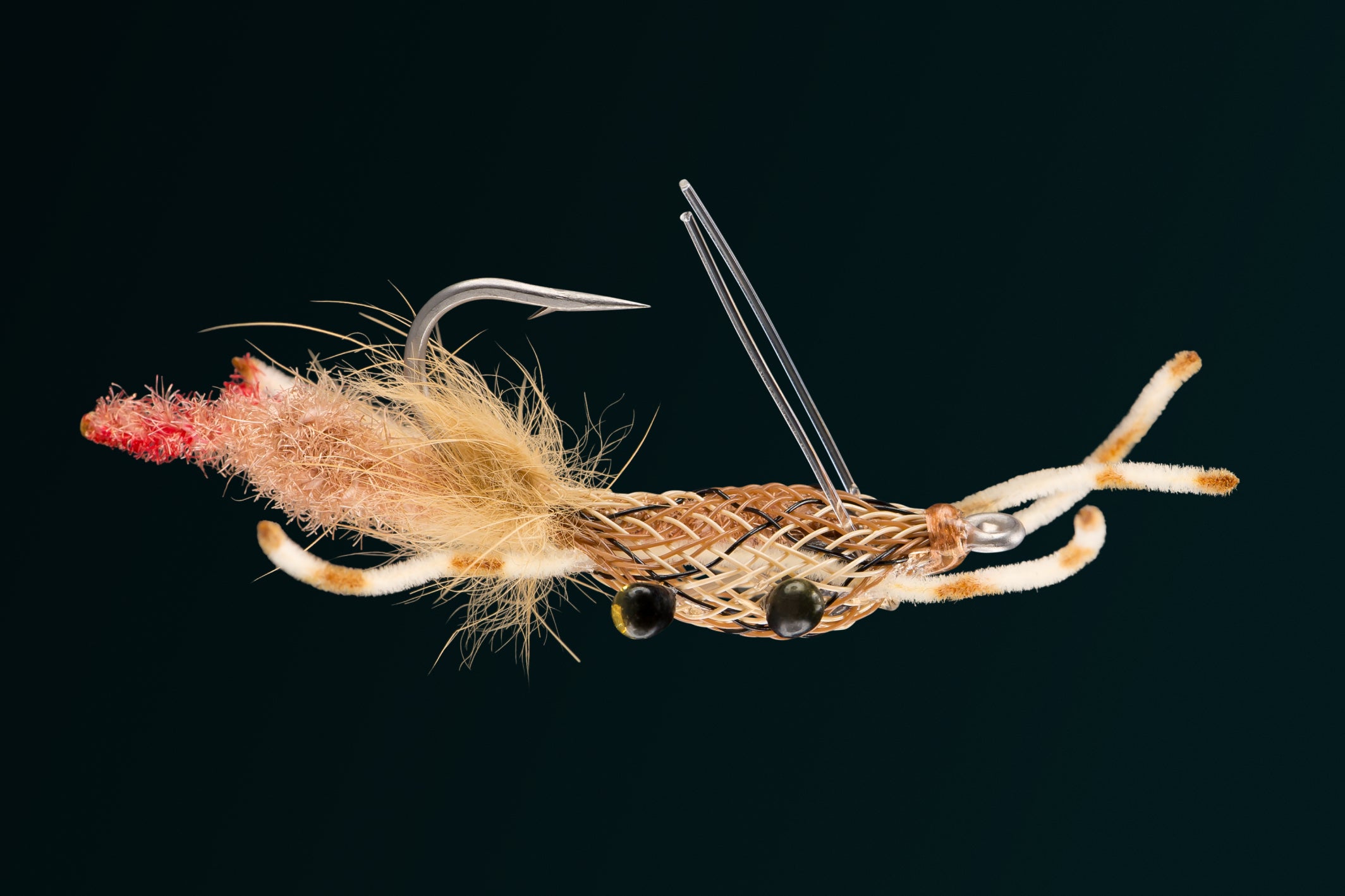 Behind The Fly - RIO's Fiddler On The Reef