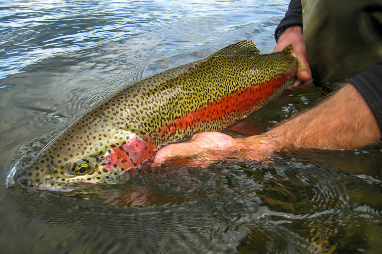FWT Freshwater Alaska