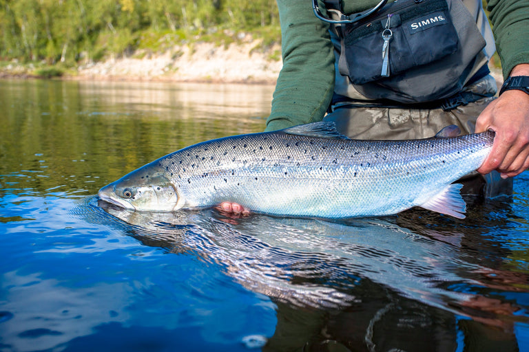 FWT Freshwater Quebec