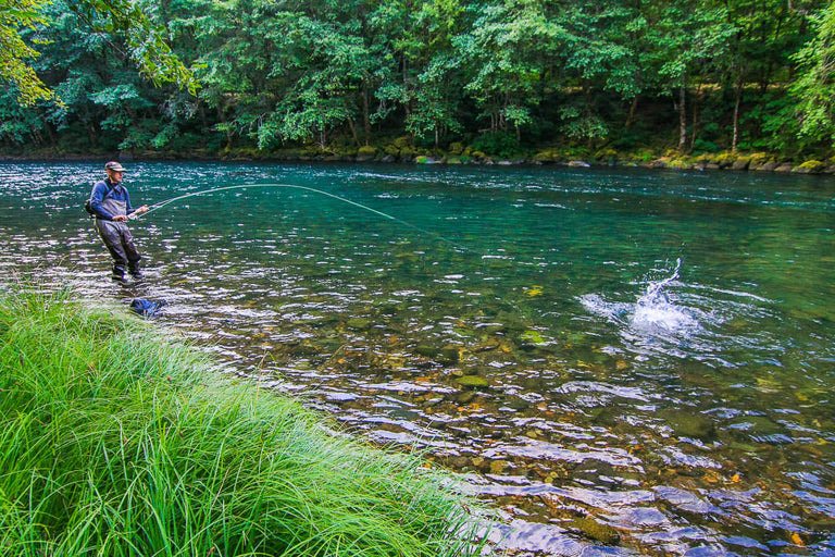 FWT Freshwater Oregon