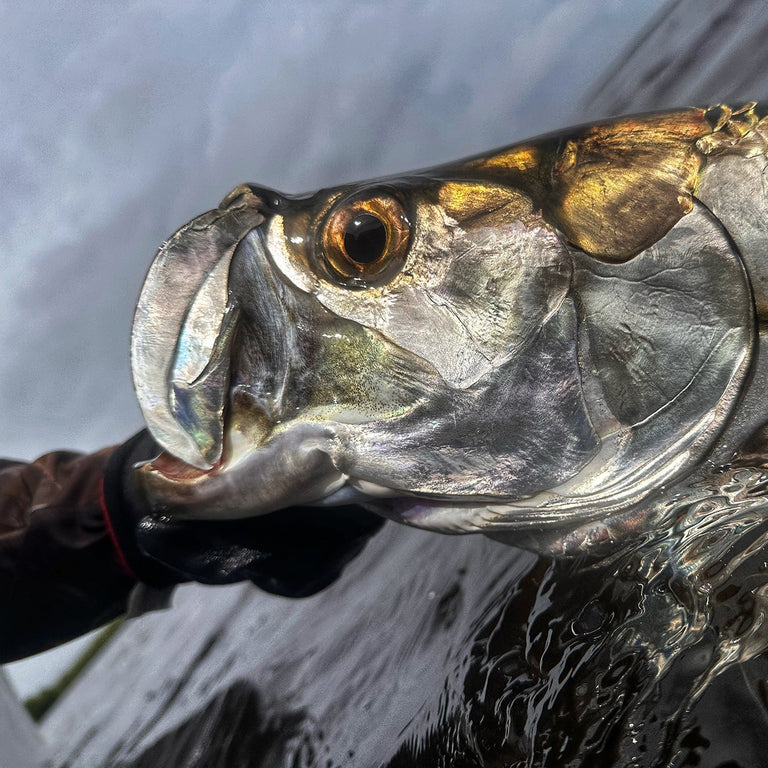 FWT Saltwater Belize