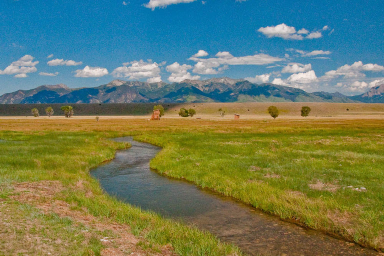 FWT Freshwater Montana