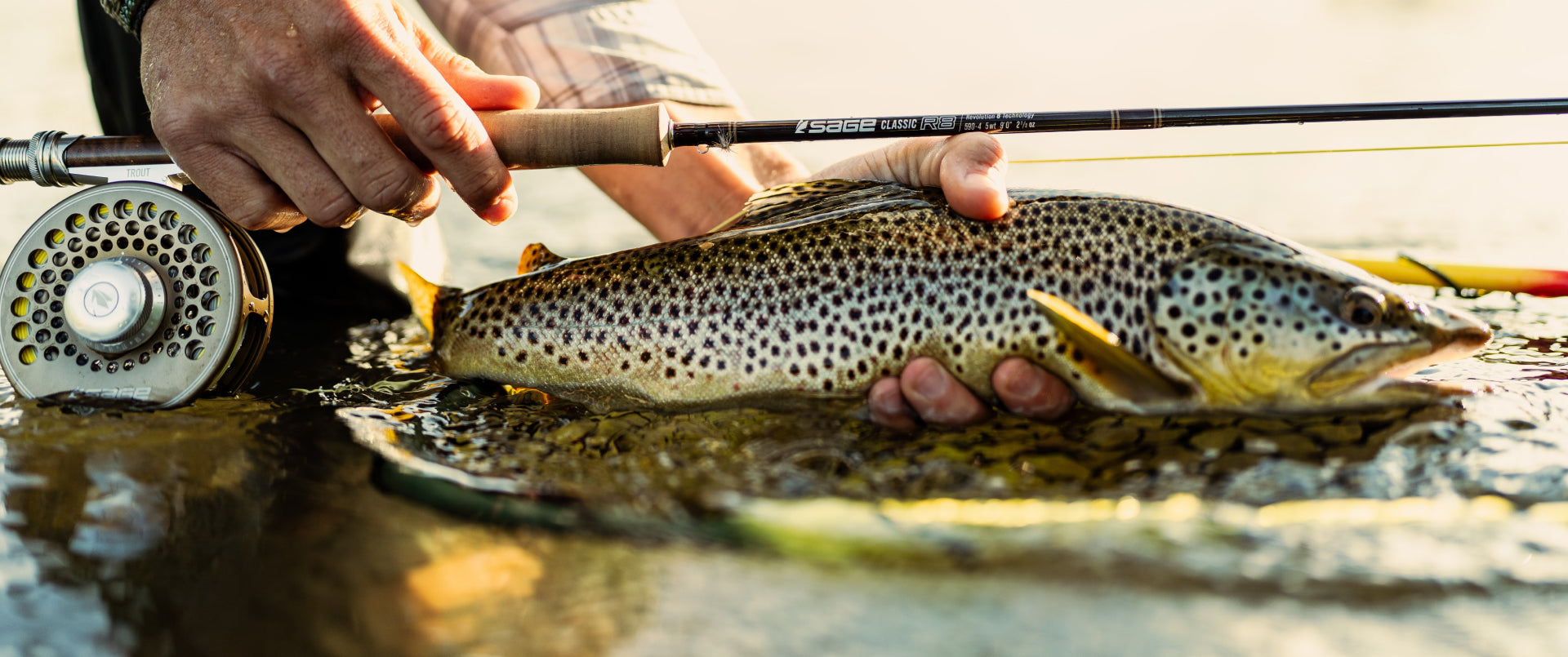 Sage Trout R8 Sage Classic R8