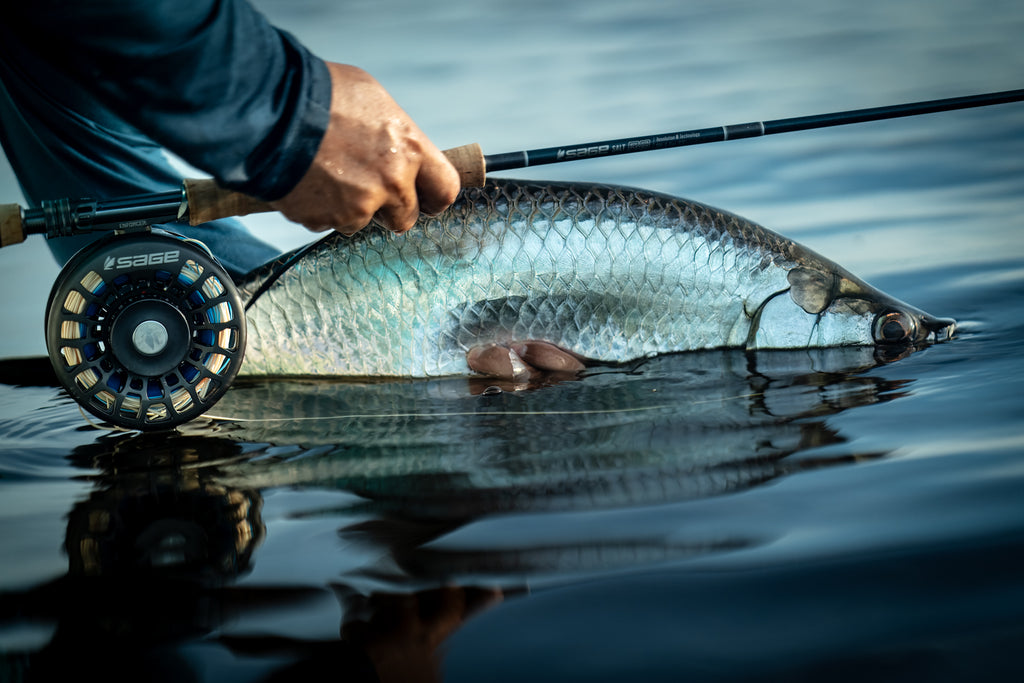 best rod and reel for saltwater tarpon Brute Force Bull Bay Tackle Company authentic Fuji chrome finished stainless steel components Affordable Rod-Reel Combos for Kayak