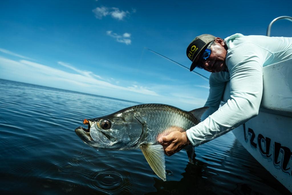 baby tarpon on fiblink baitcaster rod Brute Force  Bull Bay Tackle Company These juvenile tarpon can be