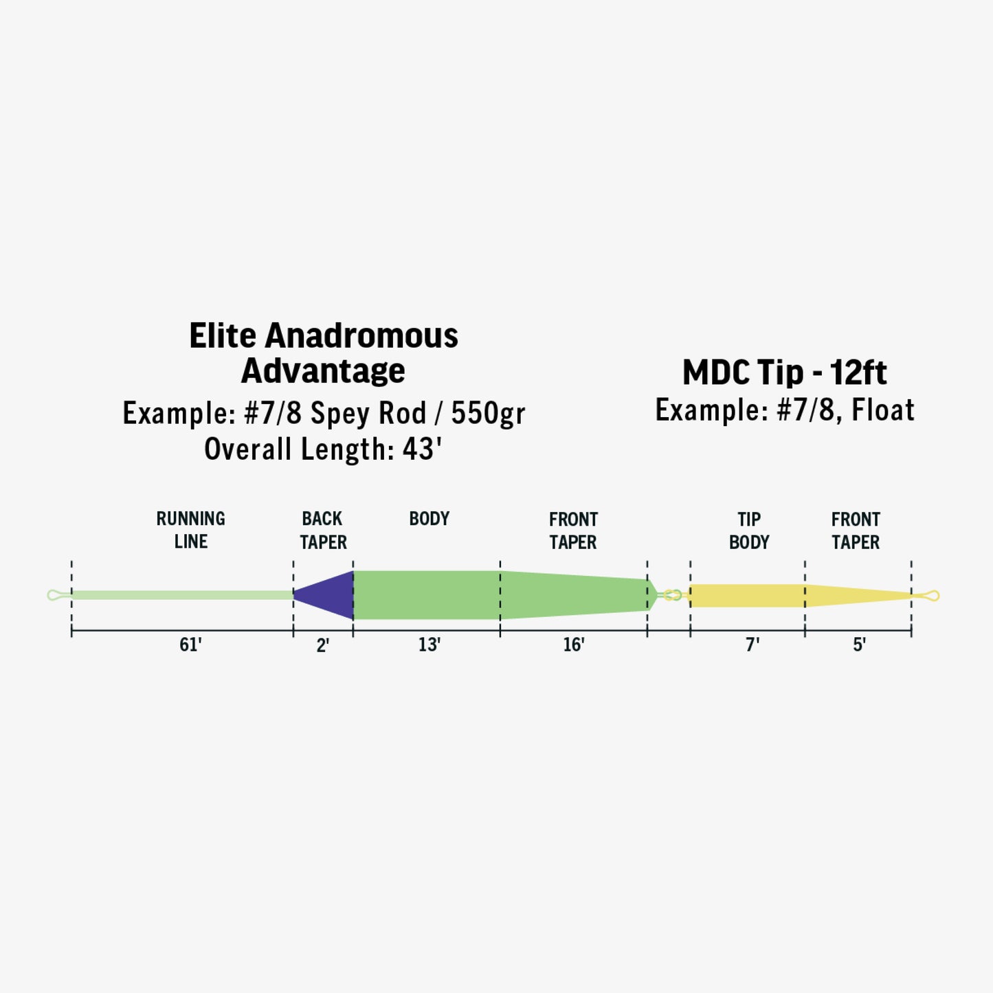 Elite Anadromous Advantage