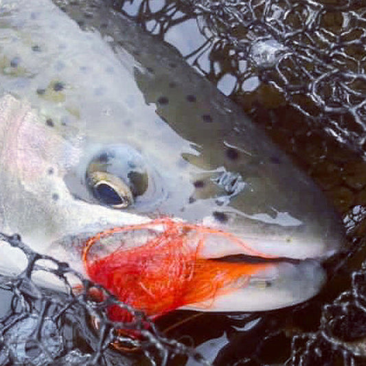 Alaska Steelhead Camp