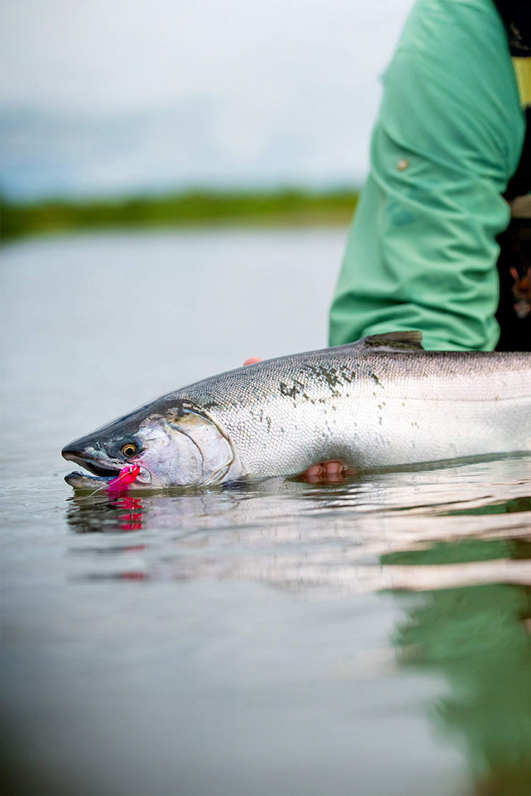 Alaska West | Fly Water Travel Alaska West | Fly Water Travel